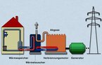 Combined heat and power generation